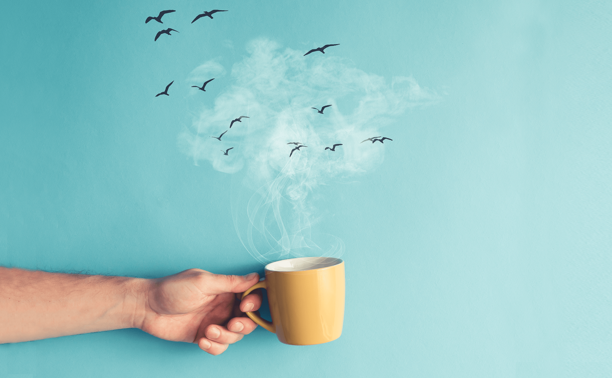 coffee-birds