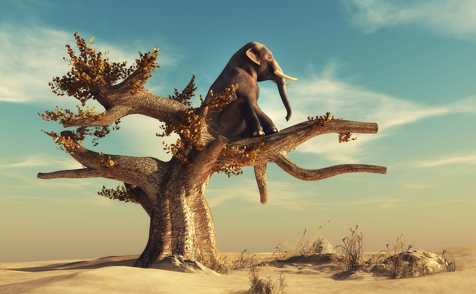 ele-in-tree