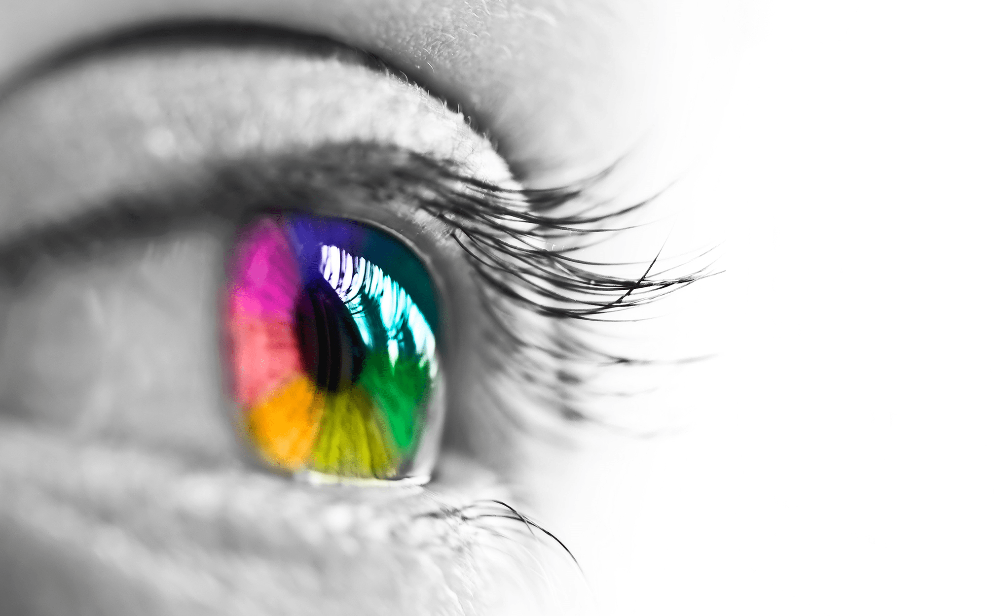 eye-for-colour