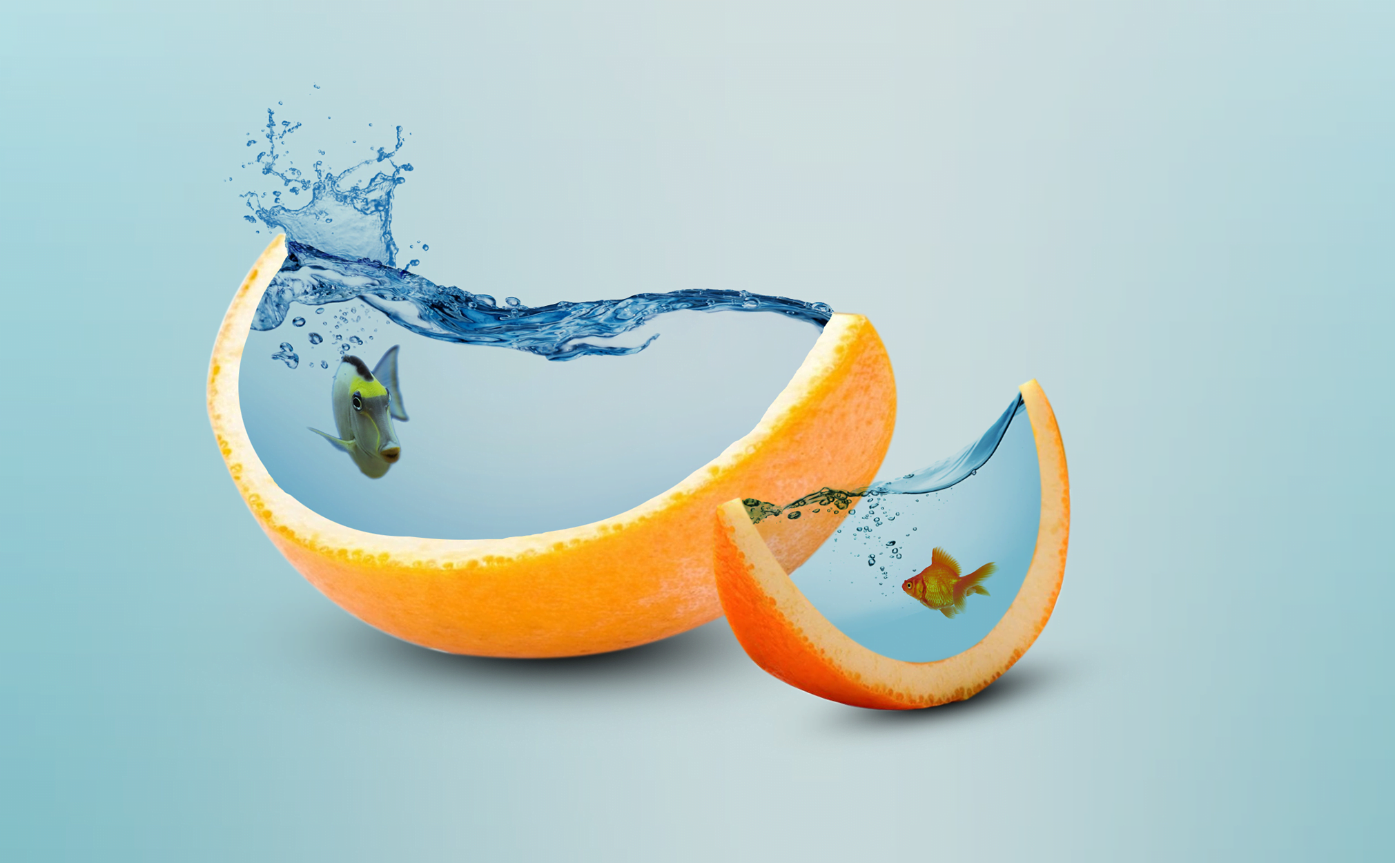 fish-in-orange