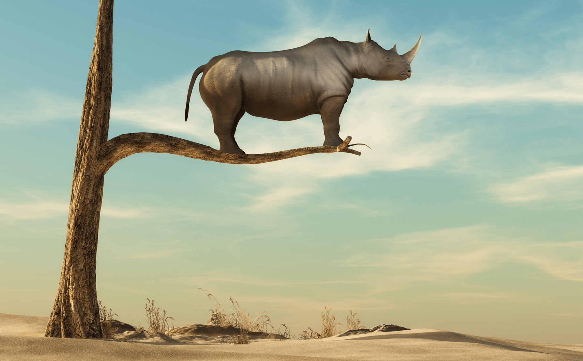 rino-tree